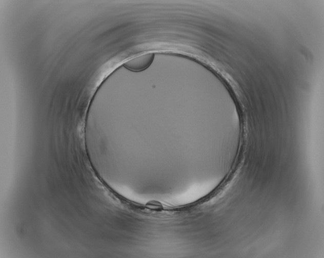 X0000113051529200909241444