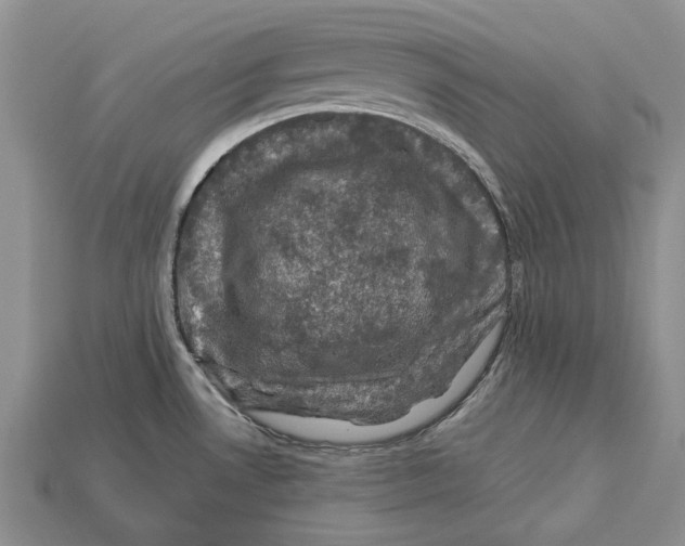 X0000113051530200909241444