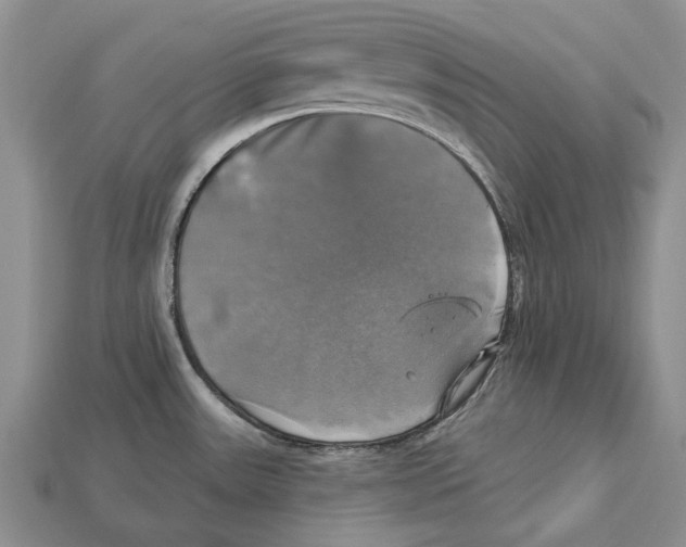 X0000113051531200909241445