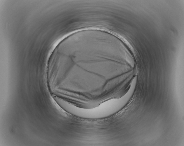 X0000113051532200909241445