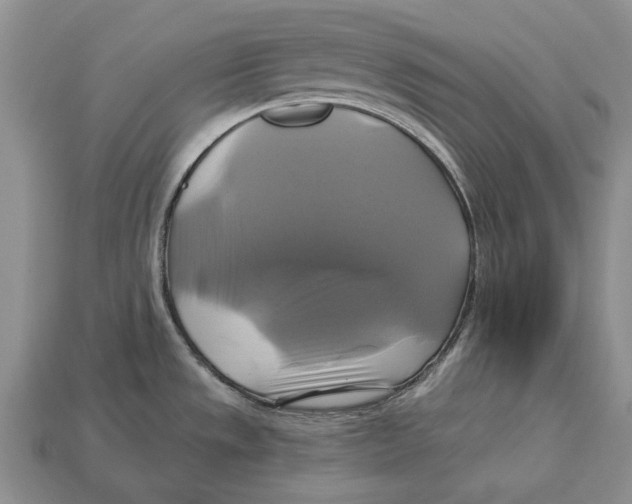 X0000113051533200909241445