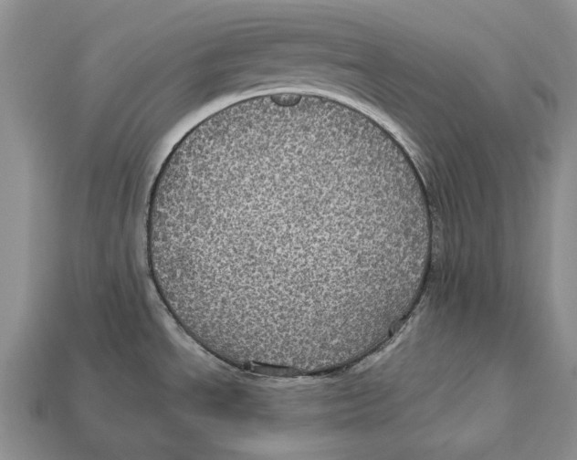 X0000113051534200909241445