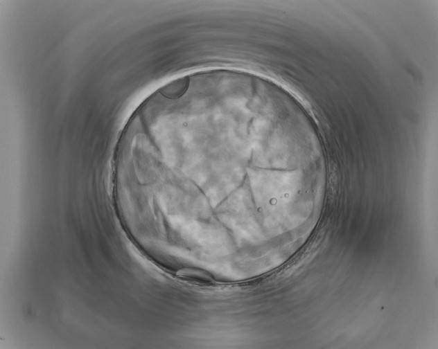 X0000113051535200909241445