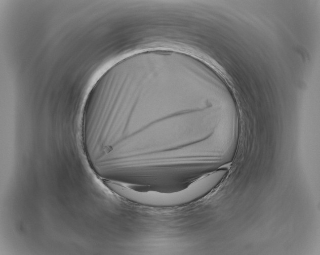 X0000113051536200909241445