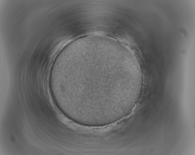X0000113050001200910081241