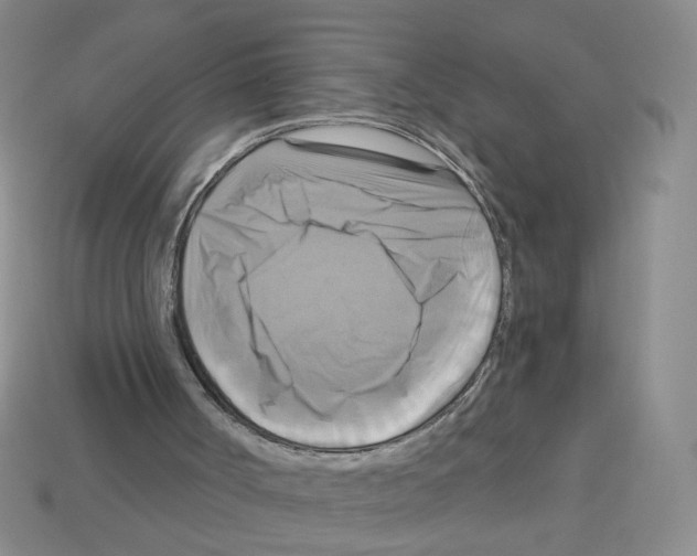 X0000113050002200910081241