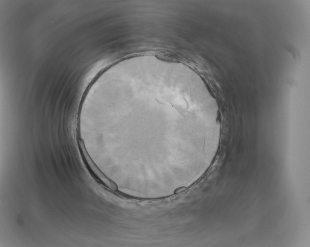 X0000113050003200910081241