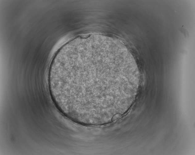 X0000113050004200910081241