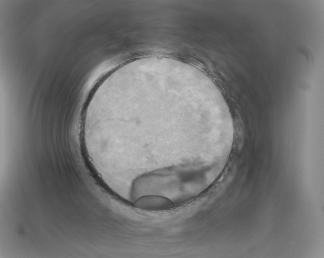 X0000113050006200910081241