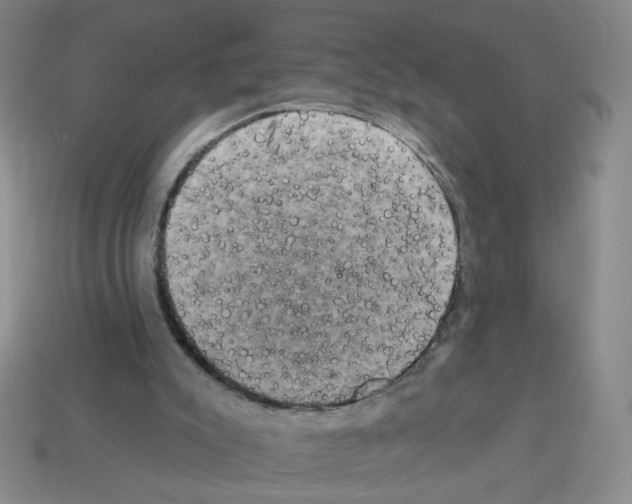 X0000113050007200910081241