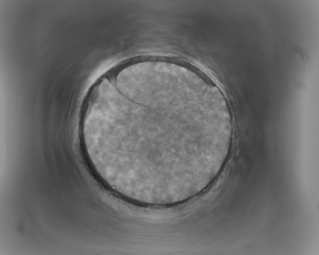 X0000113050008200910081241