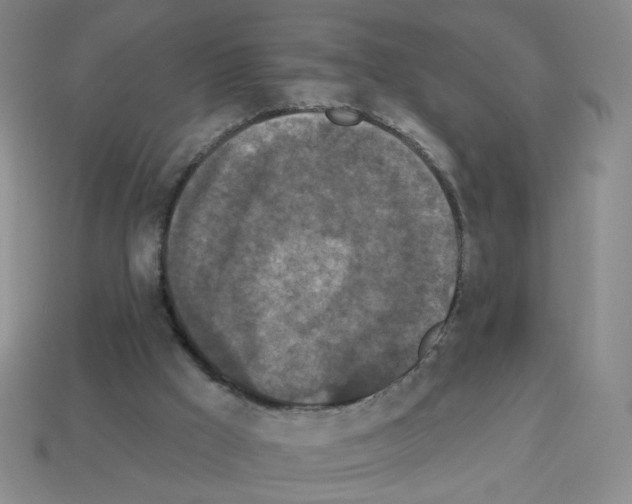 X0000113050009200910081241