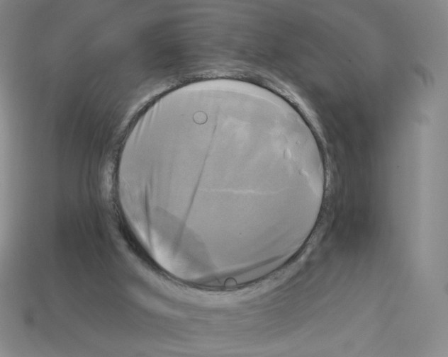 X0000113050010200910081241