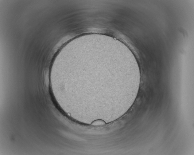 X0000113050011200910081241