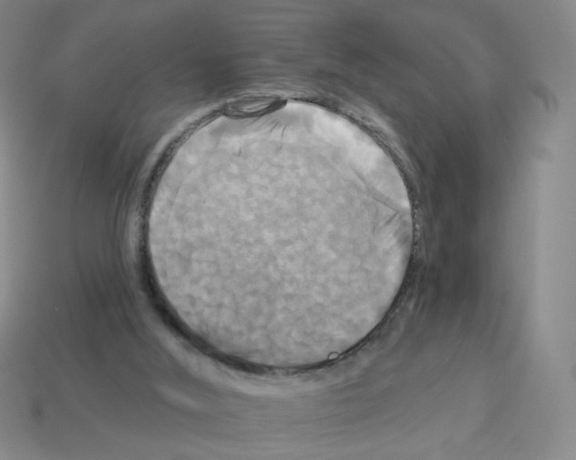 X0000113050012200910081241