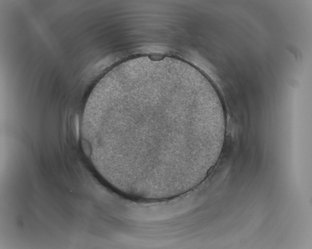 X0000113050013200910081241