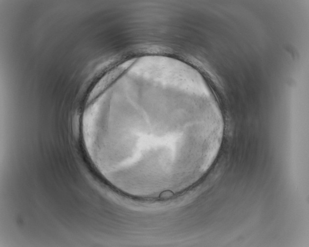 X0000113050014200910081241