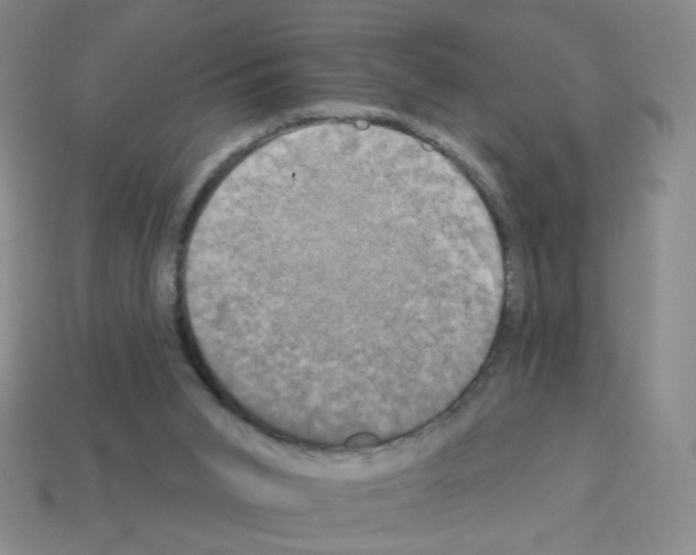 X0000113050015200910081241