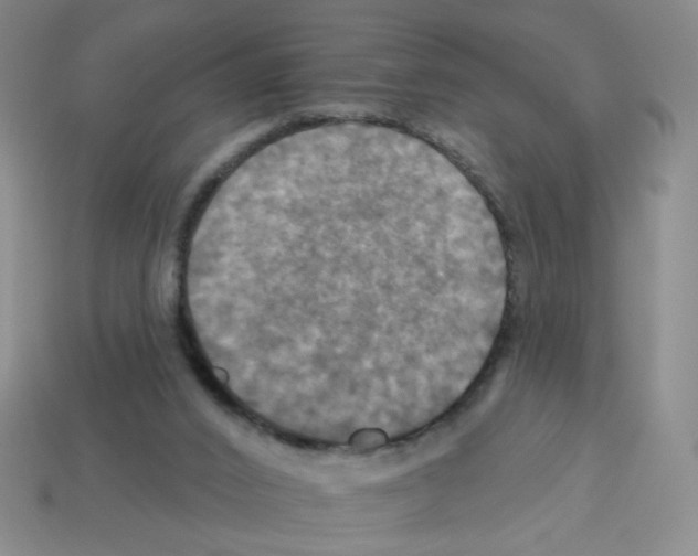 X0000113050016200910081241