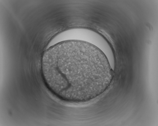 X0000113050017200910081241