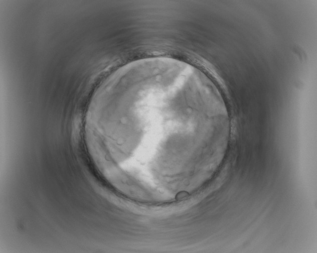 X0000113050018200910081241