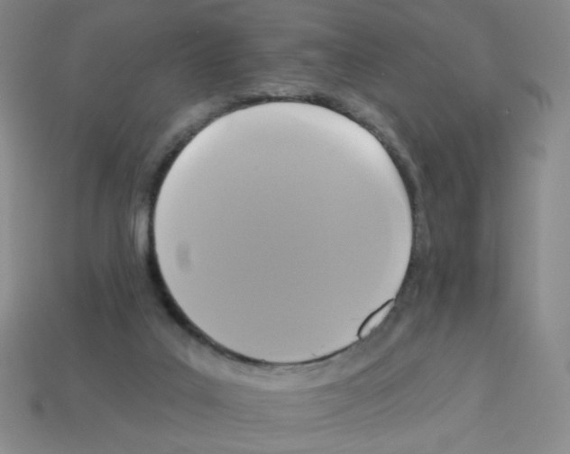 X0000113050019200910081241
