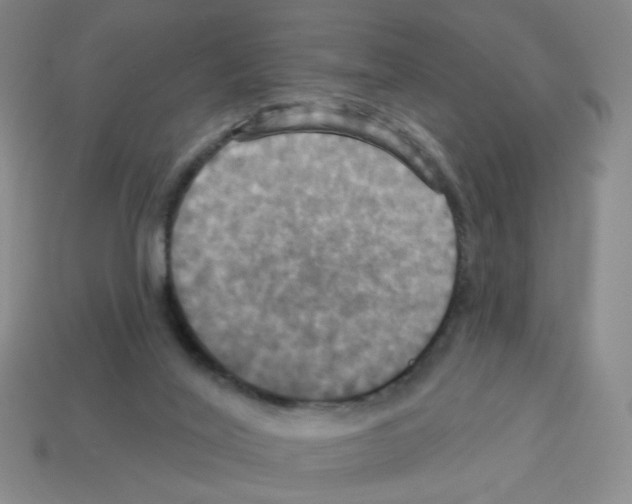 X0000113050020200910081241