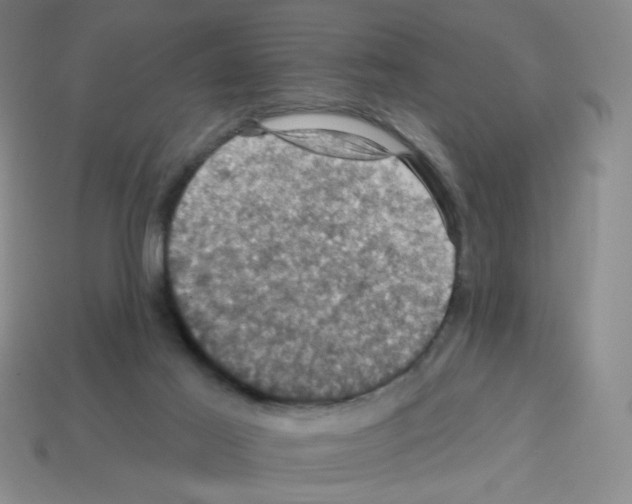 X0000113050021200910081241
