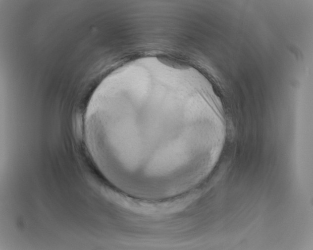 X0000113050022200910081241