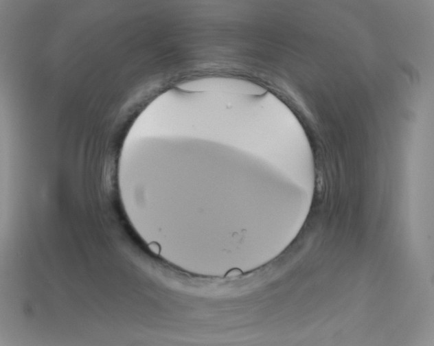 X0000113050023200910081241