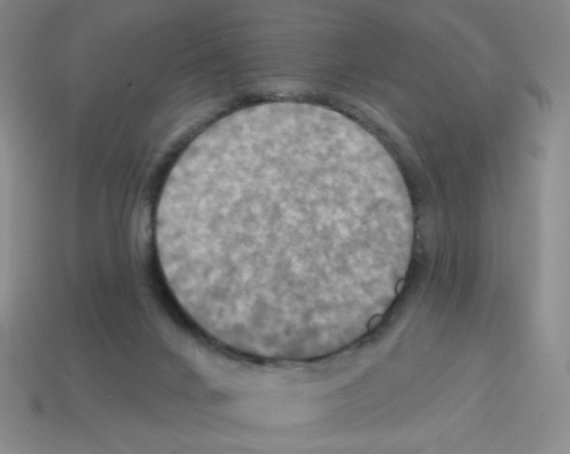 X0000113050024200910081241