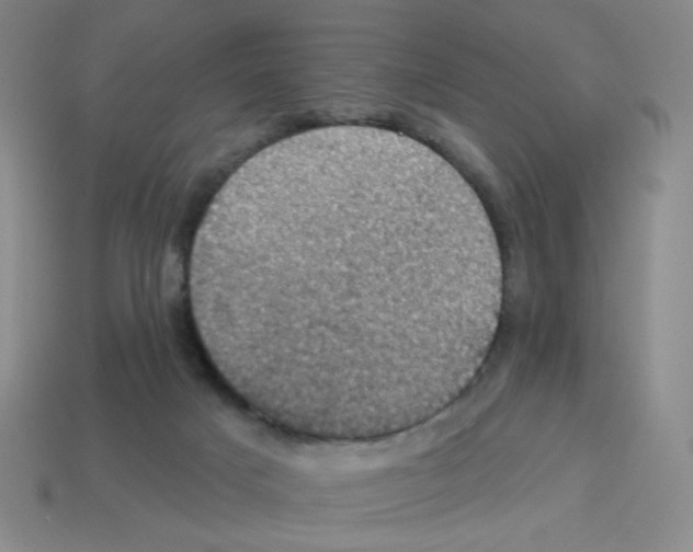 X0000113050025200910081241