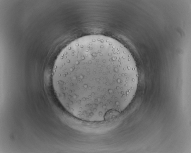 X0000113050026200910081241