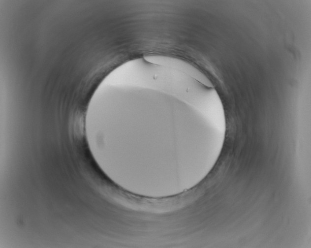 X0000113050027200910081241