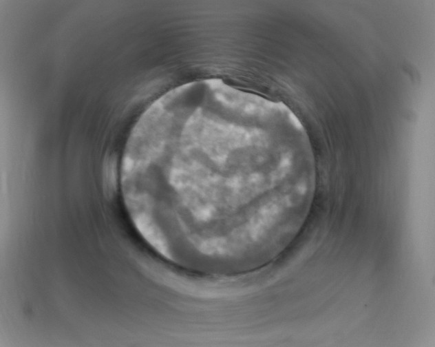 X0000113050028200910081241
