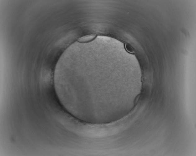 X0000113050029200910081241