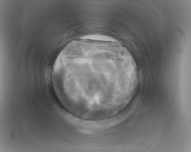 X0000113050030200910081241