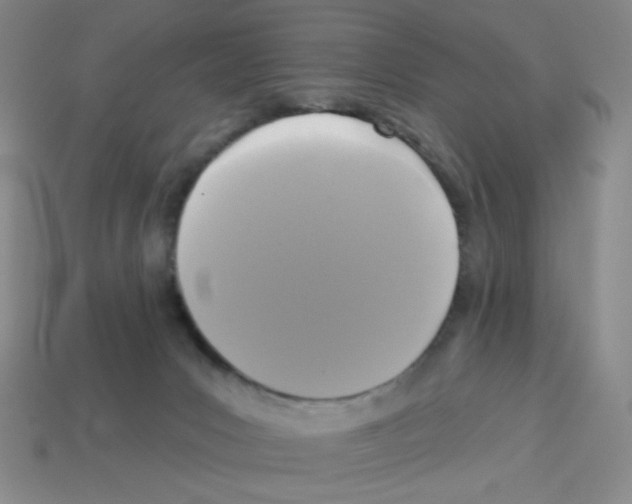 X0000113050031200910081241