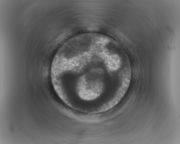 X0000113050032200910081241
