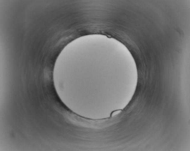 X0000113050035200910081241