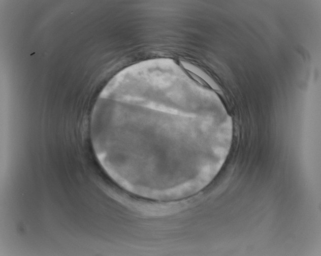 X0000113050036200910081241