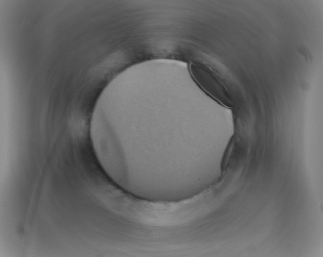X0000113050037200910081241