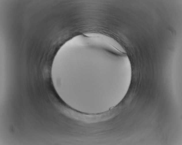 X0000113050039200910081241