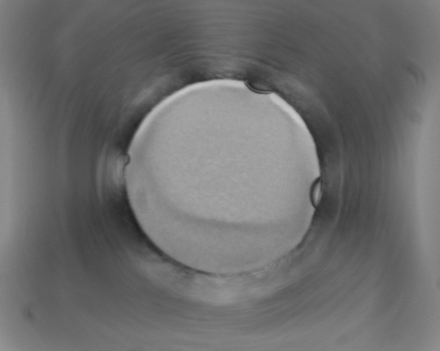 X0000113050041200910081241
