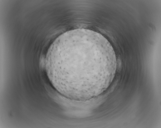 X0000113050042200910081241