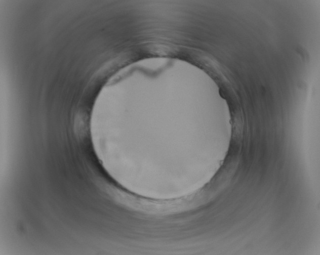 X0000113050043200910081241