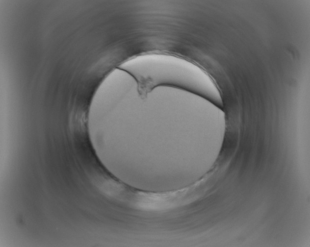 X0000113050045200910081241