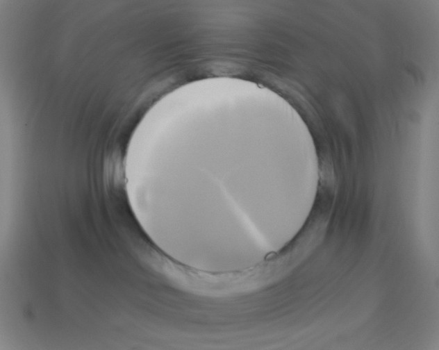 X0000113050046200910081241