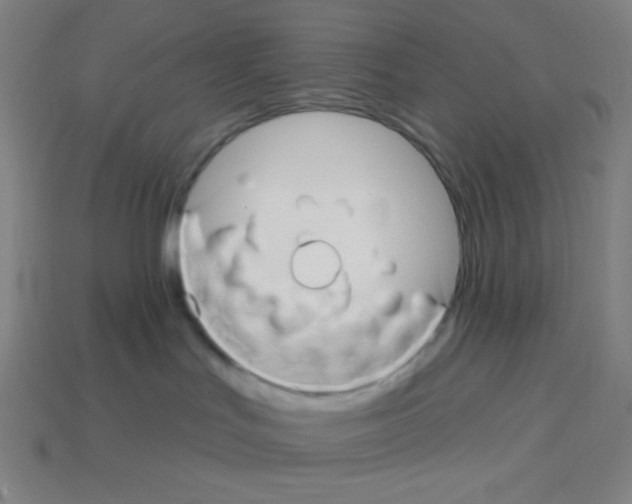 X0000113050047200910081241