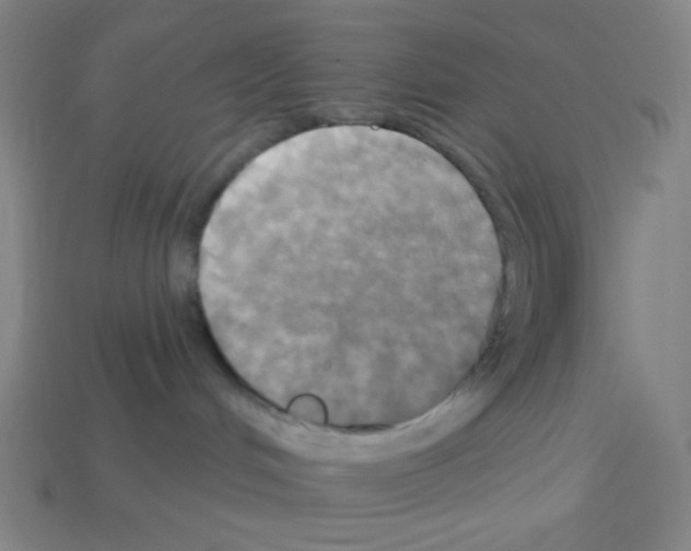 X0000113050048200910081241